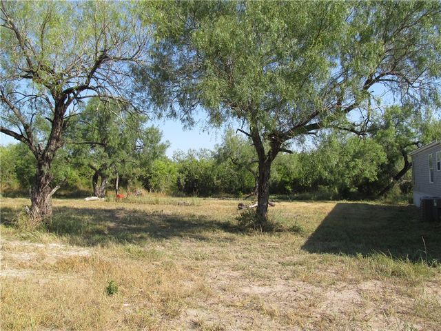 316 CR 175, Sandia, TX 78383