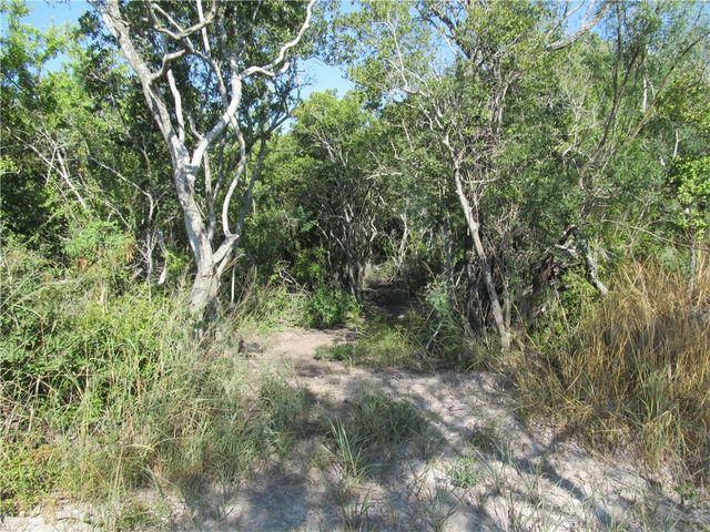 316 CR 175, Sandia, TX 78383