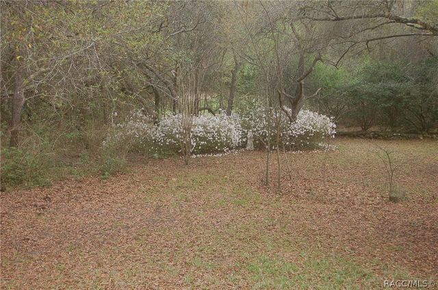 4161 N Longvalley Road, Hernando, FL 34442