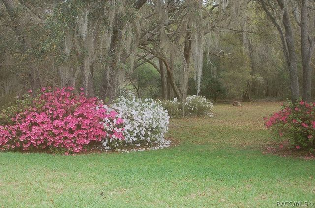 4161 N Longvalley Road, Hernando, FL 34442