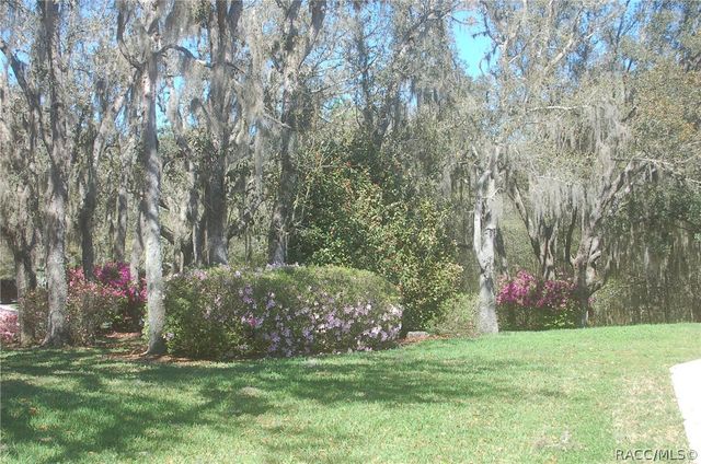 4161 N Longvalley Road, Hernando, FL 34442