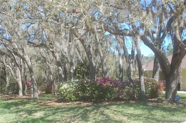 4161 N Longvalley Road, Hernando, FL 34442