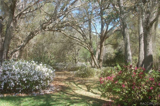 4161 N Longvalley Road, Hernando, FL 34442