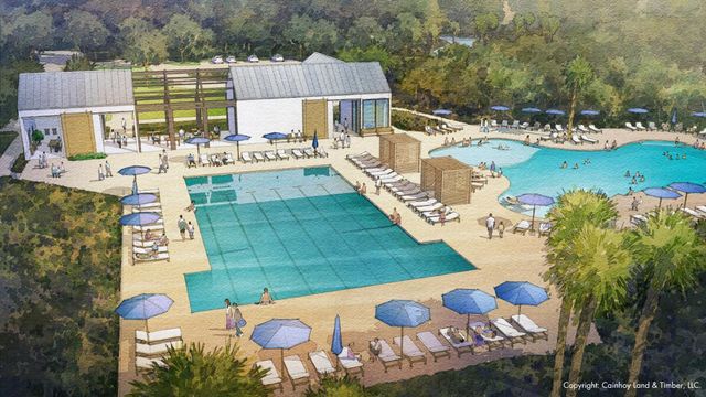 1233 Harriman Lane, Charleston, SC 29492