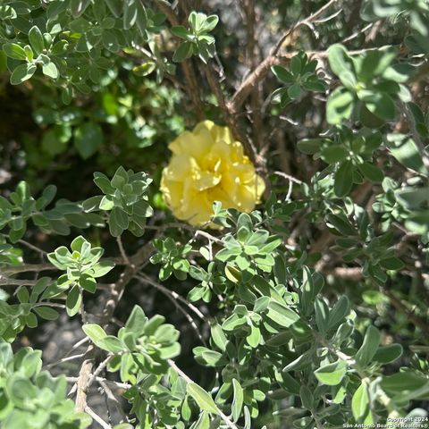 12011 CANYON ROCK LN, San Antonio, TX 78254