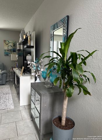 12011 CANYON ROCK LN, San Antonio, TX 78254