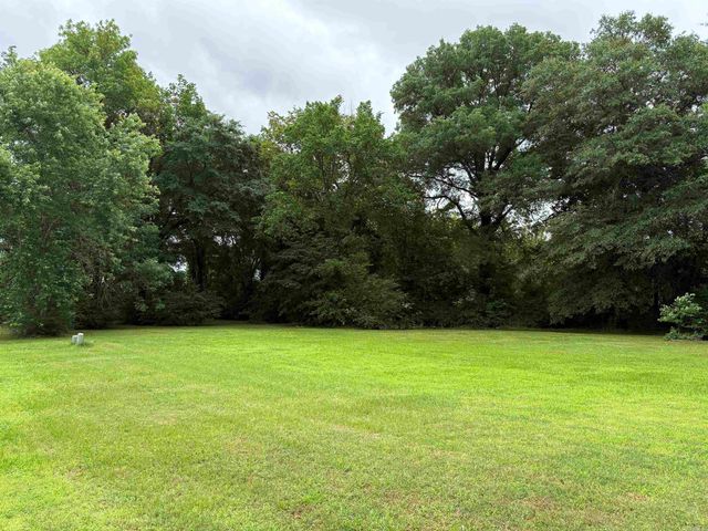 298 Niagra Falls, Conway, AR 72032