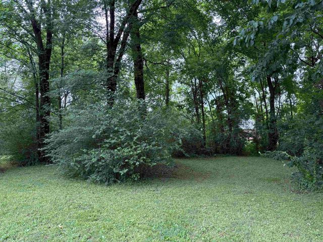 298 Niagra Falls, Conway, AR 72032