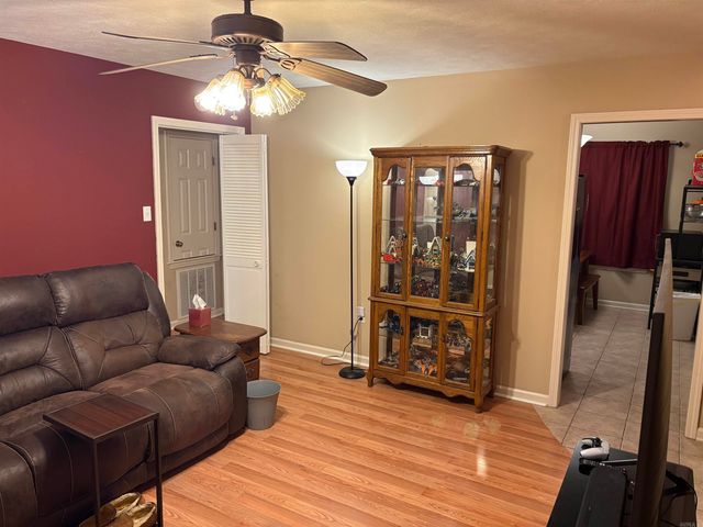 298 Niagra Falls, Conway, AR 72032