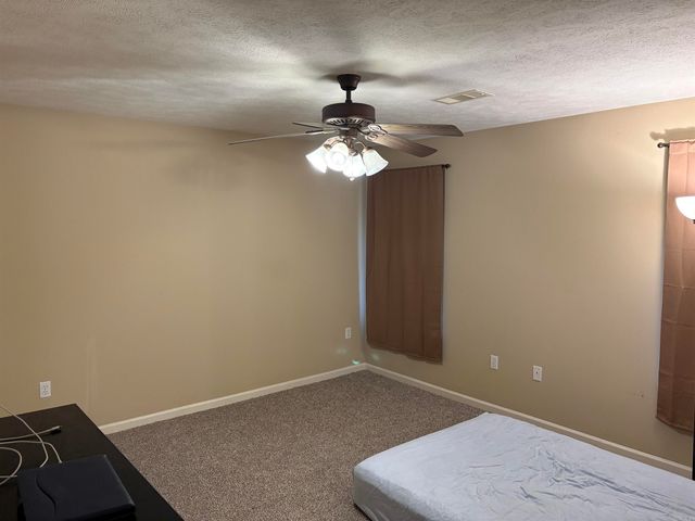 298 Niagra Falls, Conway, AR 72032
