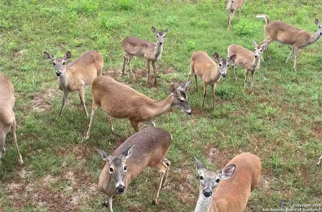 4284 Morningside, Canyon Lake, TX 78133