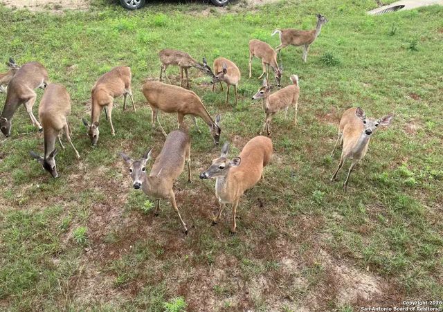 4284 Morningside, Canyon Lake, TX 78133