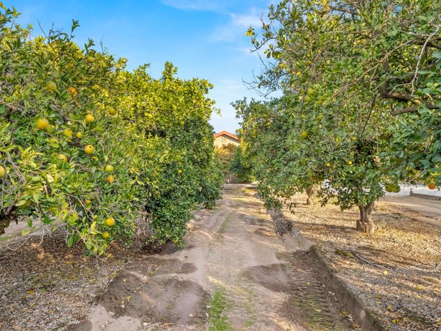 16787 Paula Road, Madera, CA 93636