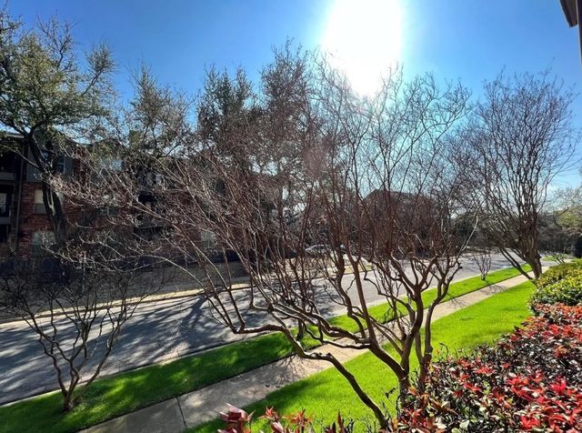 4510 Druid Lane 104, Dallas, TX 75205