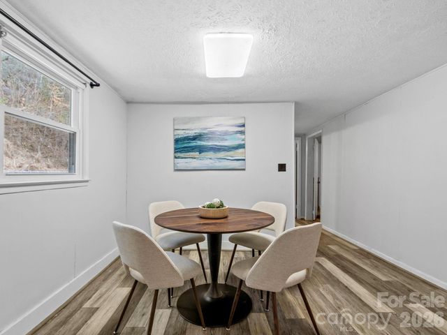 16180 US Hwy 19W Highway, Green Mountain, NC 28740