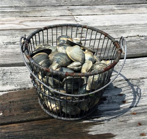 137 Cove Point East, Charlestown, RI 02813