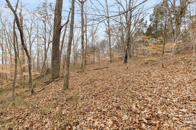0 Griffintown Road, White Bluff, TN 37187