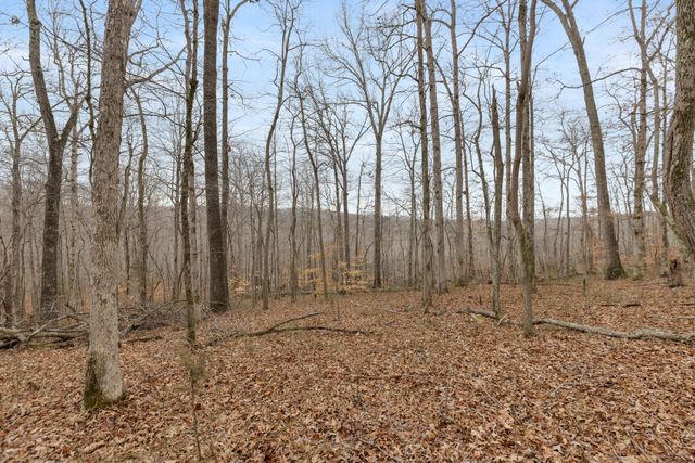 0 Griffintown Road, White Bluff, TN 37187