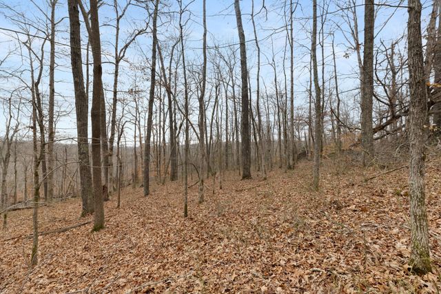 0 Griffintown Road, White Bluff, TN 37187