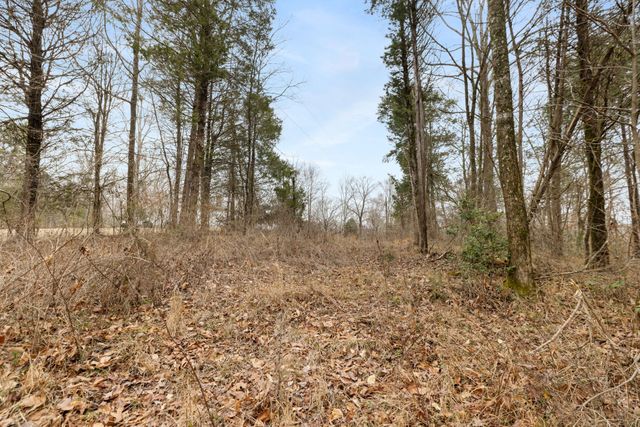0 Griffintown Road, White Bluff, TN 37187