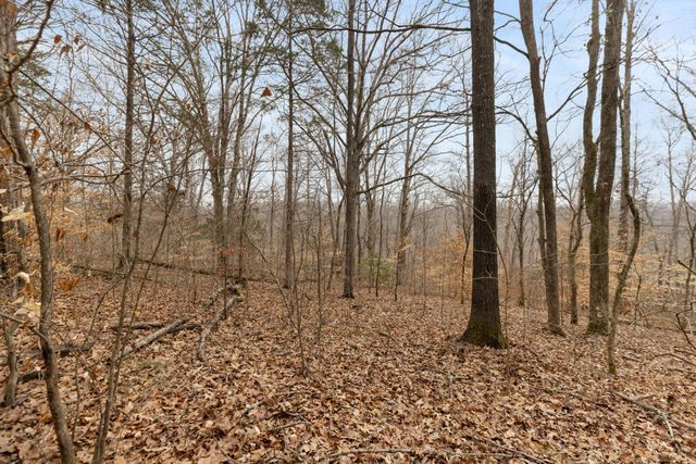 0 Griffintown Road, White Bluff, TN 37187