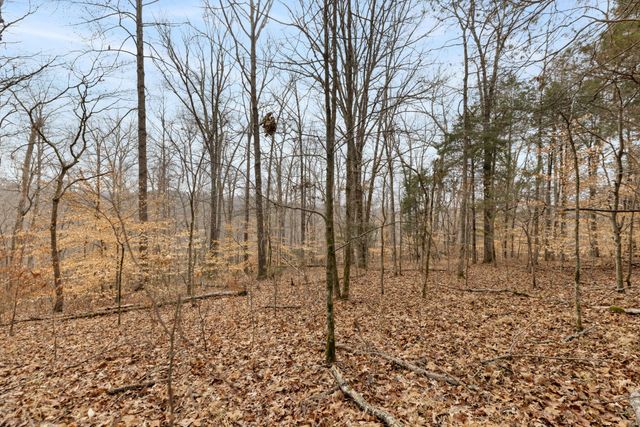 0 Griffintown Road, White Bluff, TN 37187