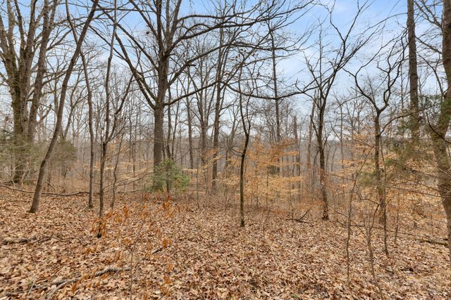 0 Griffintown Road, White Bluff, TN 37187