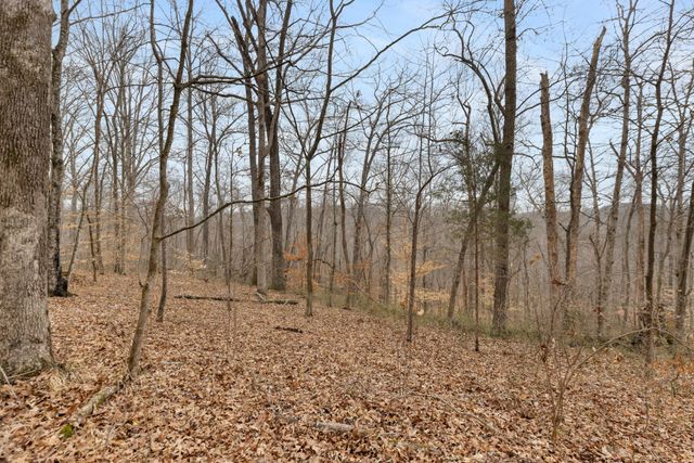0 Griffintown Road, White Bluff, TN 37187
