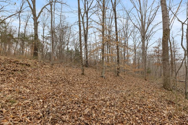 0 Griffintown Road, White Bluff, TN 37187