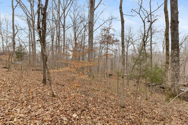 0 Griffintown Road, White Bluff, TN 37187