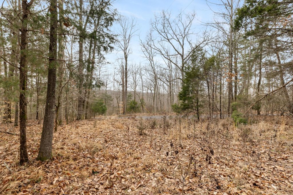 0 Griffintown Road, White Bluff, TN 37187