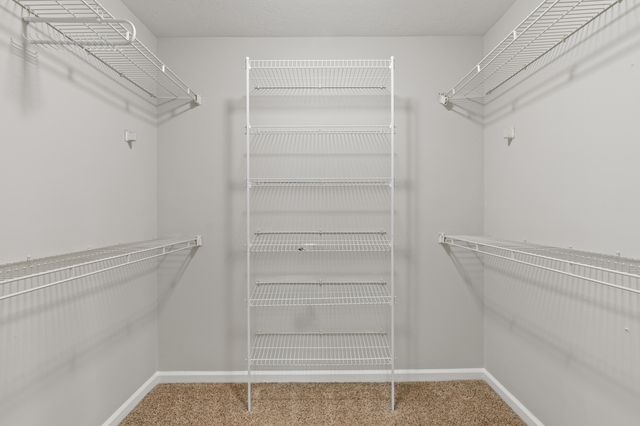 4183 Quinn Drive, Evans, GA 30809