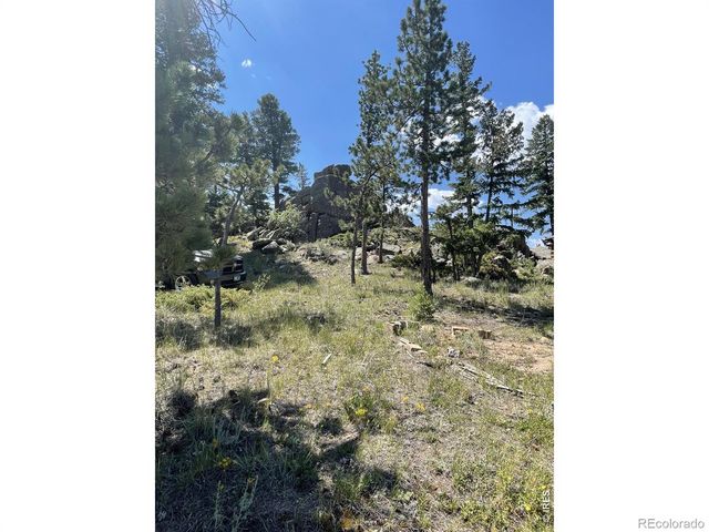 35 Robin Path, Red Feather Lakes, CO 80545