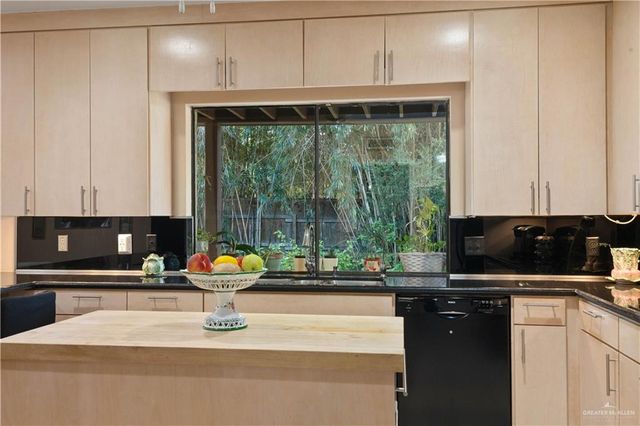 1113 Xanthisma Avenue, Mcallen, TX 78504