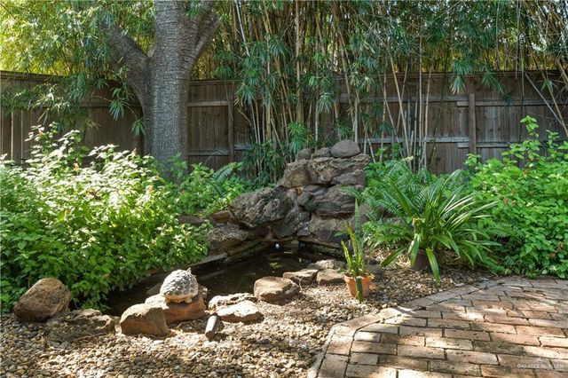 1113 Xanthisma Avenue, Mcallen, TX 78504