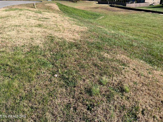 4536 Alan Springs Lane Lane, Knoxville, TN 37938