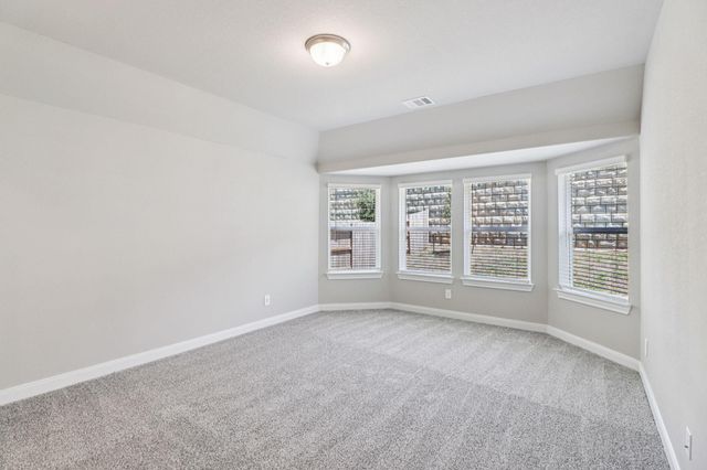 17314 Teddy Trace Drive, Waller, TX 77484