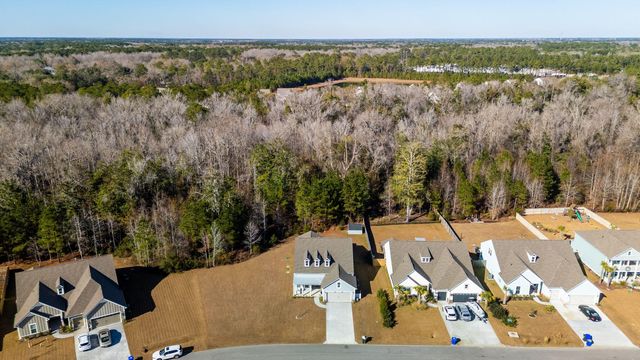 5033 Lady Bird Alley, Johns Island, SC 29455