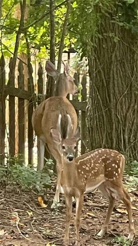 4075 Dream Catcher Drives, Woodstock, GA 30189