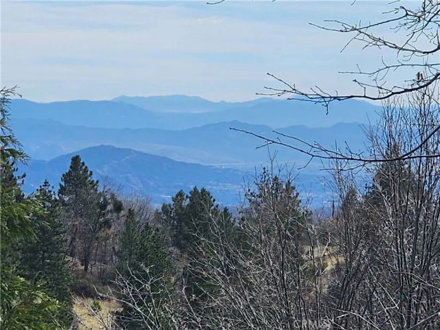 30914 Old City Creek, Running Springs, CA 92382