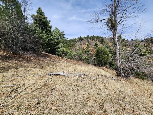 30914 Old City Creek, Running Springs, CA 92382