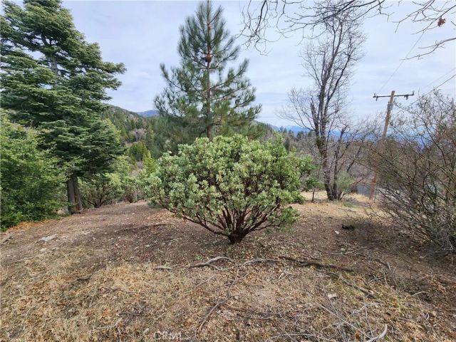30914 Old City Creek, Running Springs, CA 92382