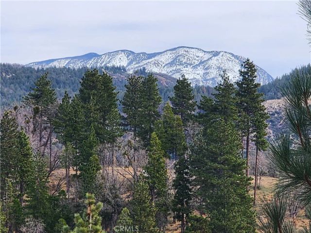 30914 Old City Creek, Running Springs, CA 92382