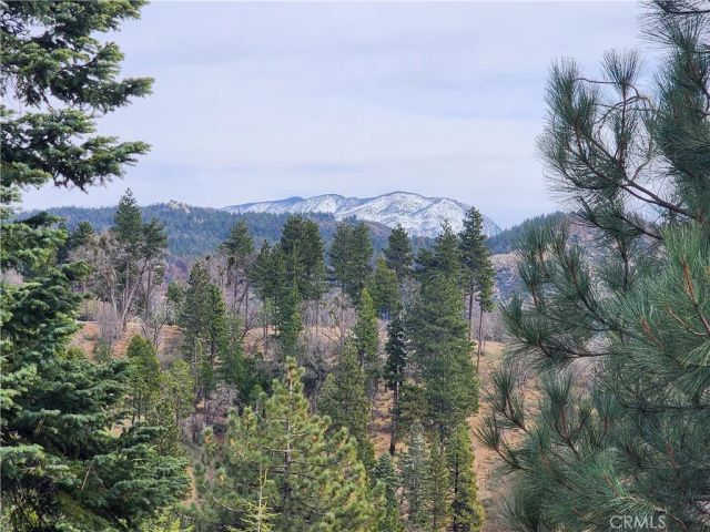 30914 Old City Creek, Running Springs, CA 92382