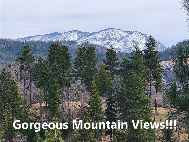 30914 Old City Creek, Running Springs, CA 92382
