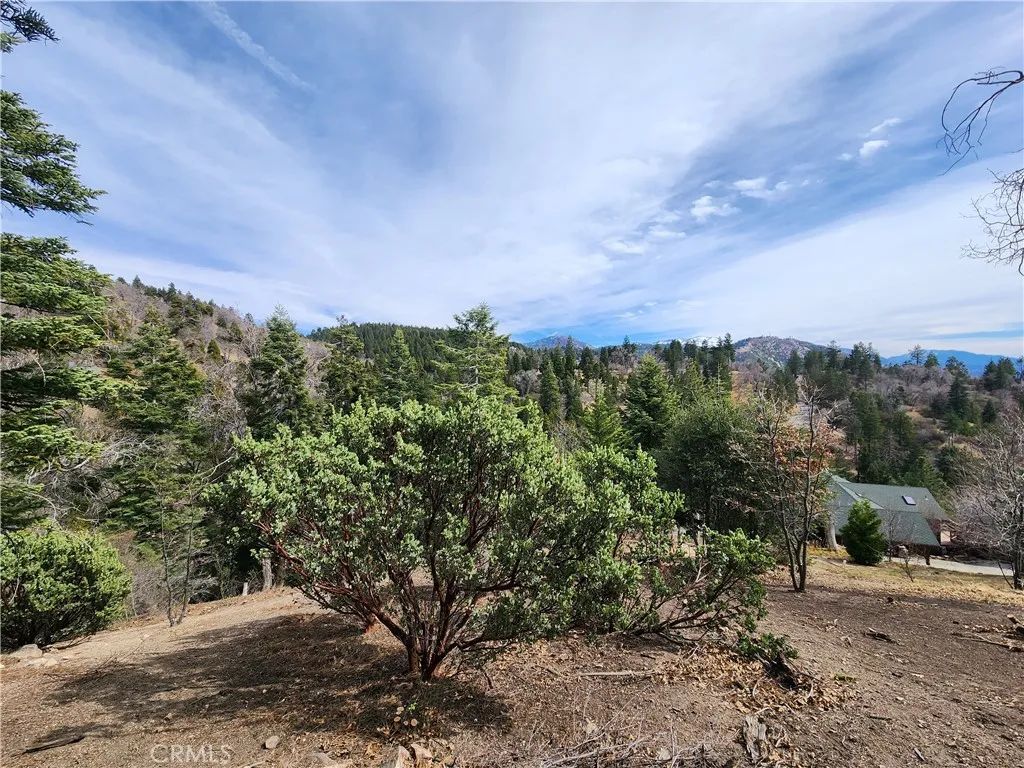 30914 Old City Creek, Running Springs, CA 92382