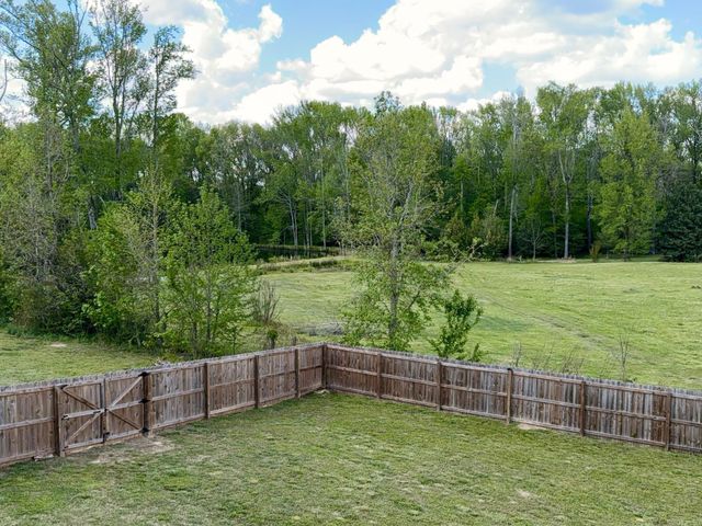 13024 Avilla Hills Cove, Alexander, AR 72002