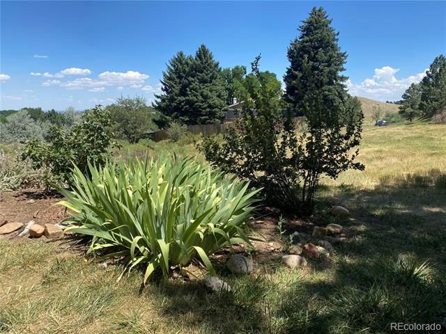 234 S Holman Way, Golden, CO 80401