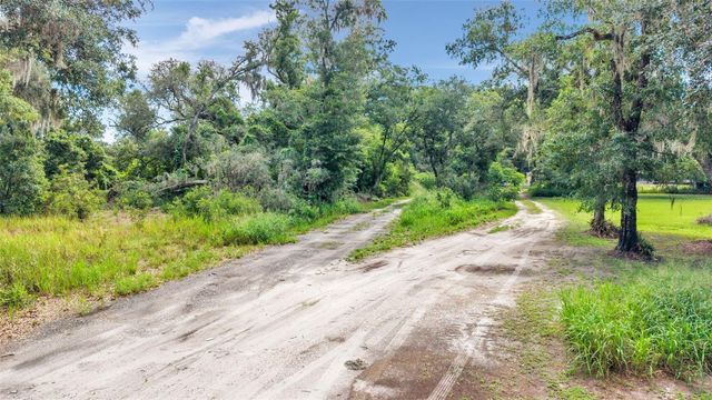SYDNEY WASHER ROAD, Dover, FL 33527