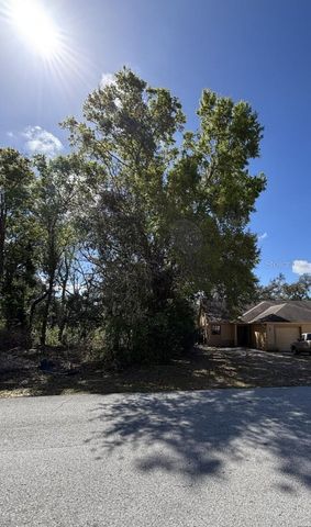 CANTERBURY STREET, Spring Hill, FL 34606